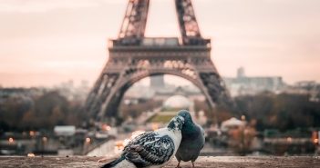 Voyage, site touristique, voyage à Paris