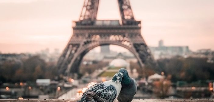 Voyage, site touristique, voyage à Paris
